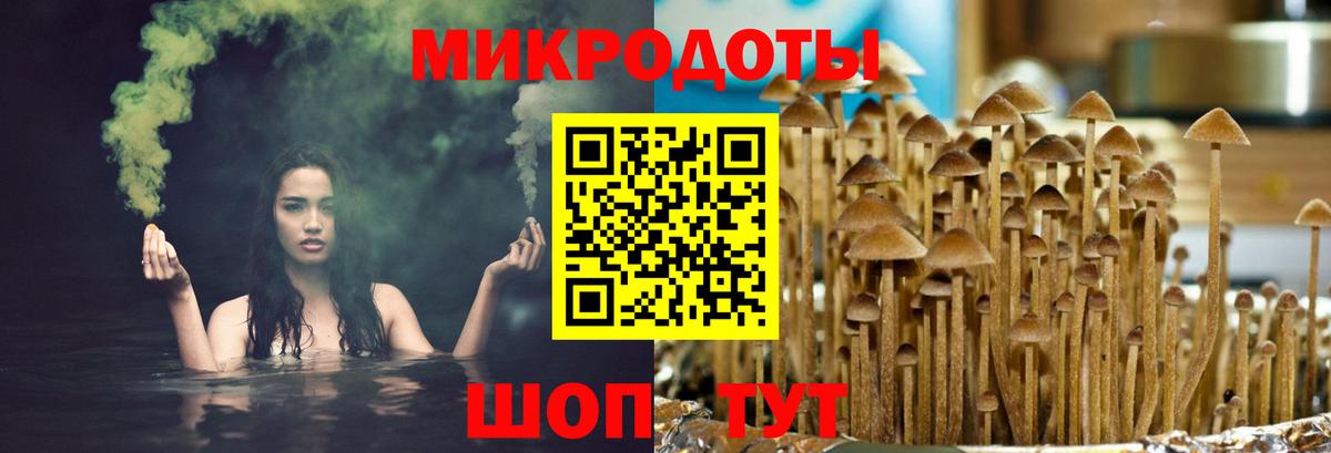 Галлюциногенные грибы мицелий Ртищево